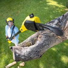 Lawn Maintenance Plans in Fairview, TX